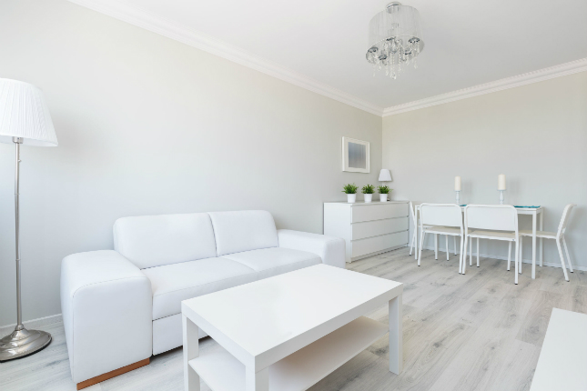 Minimalist Interior Design - Living Room